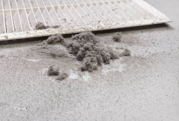 Best Affordable HVAC Duct Cleaning  in Neenah, WI