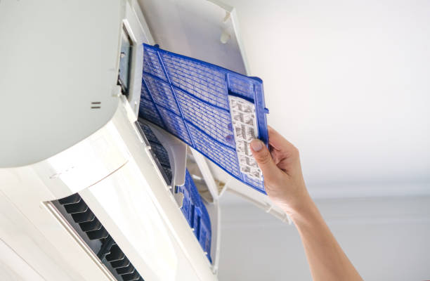 Best Home Air Vent Cleaning  in Neenah, WI